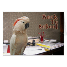 Back To School Cards