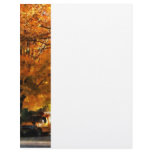 Back to School Letterhead Design