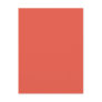 Background Colour - Coral