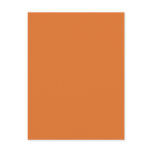 Background Colour - Mango