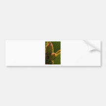 Backlit Beauty 1 Bumper Sticker