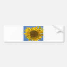 Backlit Beauty Bumper Stickers