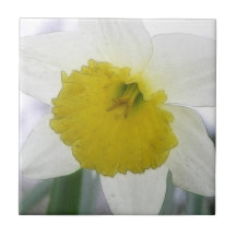 Backlit Daffodil Blossom Ceramic Tiles