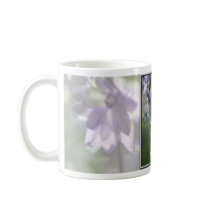 Backlit Delphinium Mug