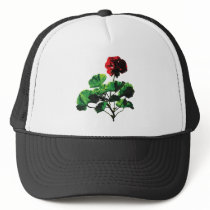 Backlit Red Geranium