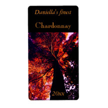 Backlit tall old tree wine label
