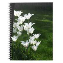 Backlit white tulips spiral note book