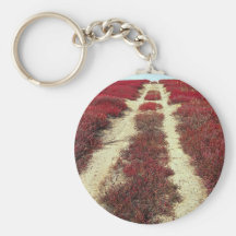 Backroads in blueberry fields, New Brunswick, Cana Keychain