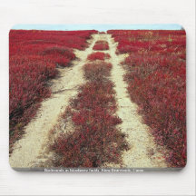 Backroads in blueberry fields, New Brunswick, Cana Mouse Pad