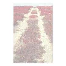 Backroads in blueberry fields, New Brunswick, Cana Custom Stationery