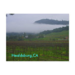 backyard, Healdsburg,CA Postcards