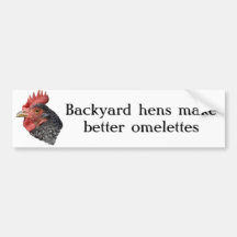 Backyard hens make better omelettes! bumper stickers