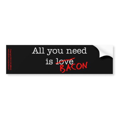 Bacon All You Need by justbacon