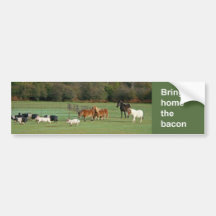 Bacon bumper sticker