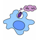 Bacteria Phagocytosis t-shirts