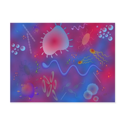 Bacteria Postcard by prawny