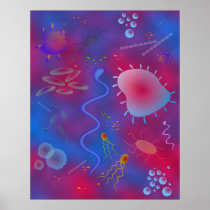 Bacteria Posters