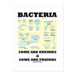 Bacteria Some Are Enemies & Some Are Friends Post Cards