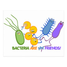Bacterial Friends Postcards