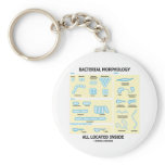 Bacterial Morphology All Located Inside (Bacteria)