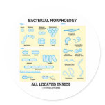 Bacterial Morphology All Located Inside (Bacteria) stickers