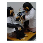 Bacteriologist Post Cards