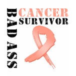 Bad Ass Endometrial Cancer Survivor t-shirts