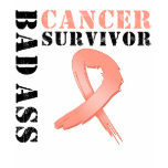 Bad Ass Uterine Cancer Survivor t-shirts