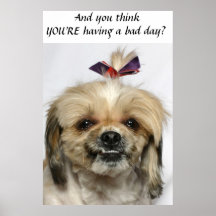 Bad Day Print
