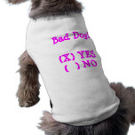Bad Dog?