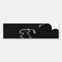 Bad Dog Xray Skeleton Black Blue Bumper Sticker