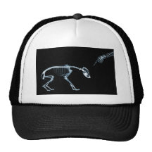 Bad Dog Xray Skeleton Black Blue Trucker Hats