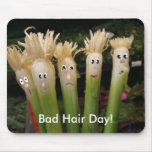 Bad Hair Day, Bad Hair Day!