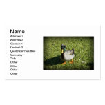 Bad Hair Day Business Card Template