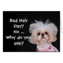 Bad Hair Day? Greeting Cards