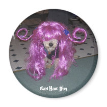 Bad Hair Day magnets