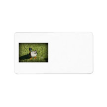Bad Hair Day Personalized Address Label