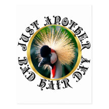 Bad hair day! post card