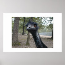 Bad hair Day Print