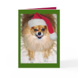 Bad Santa Christmas Card