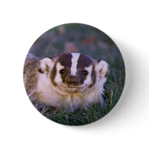Badger Pin