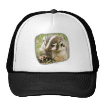 Badger Hats