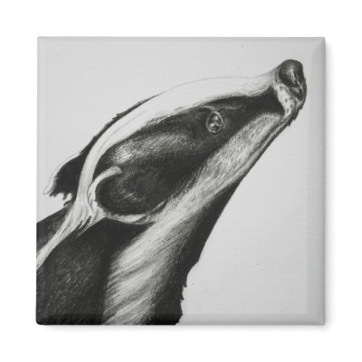 Badger Magnet by kthomaswildlifeart