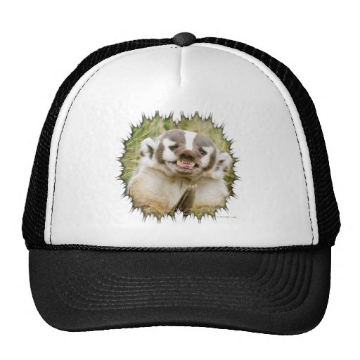 Badger Mesh Hat