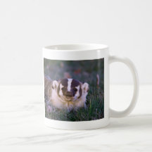 Badger Mug