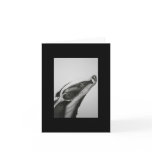 Badger Note card