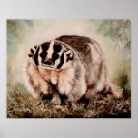 Badger Print