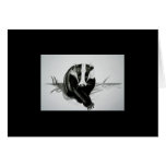 Badger Products Greeting Cards