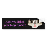 Badgering Badger_Have you licked your badger today