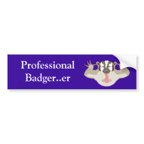 Badgering Badger_Professional Badger...er